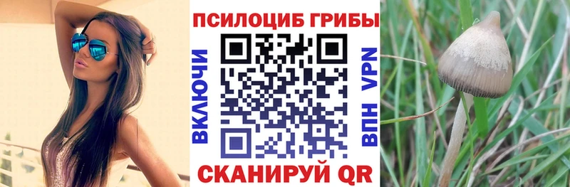 Псилоцибиновые грибы Psilocybine cubensis  дарнет шоп  Иваново 