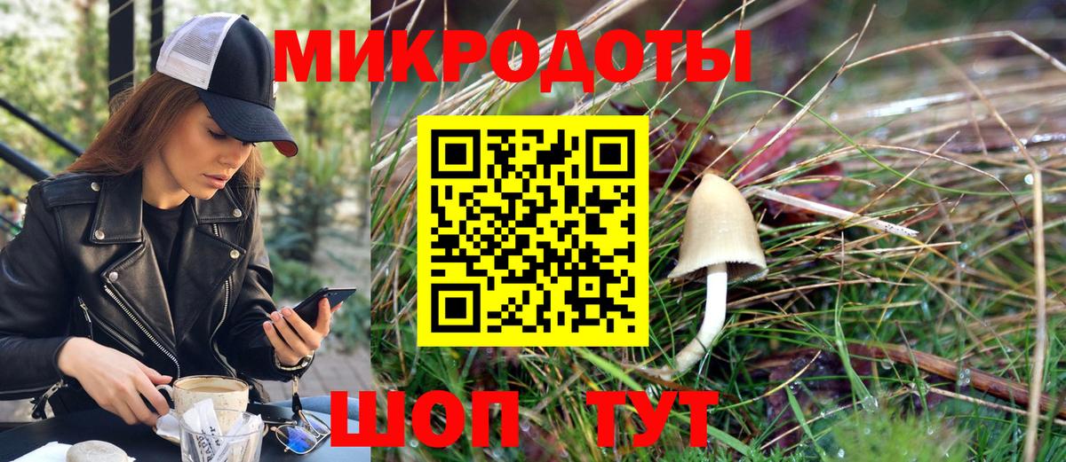 Иваново  Псилоцибиновые грибы Cubensis  Псилоцибиновые грибы Psilocybine cubensis  Вход с VPN 